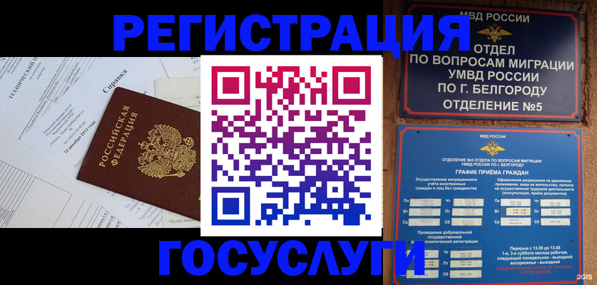 временная прописка в Стародубе